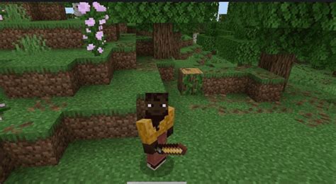 Image result for World Builder Minecraft Education Edition