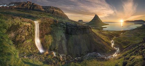 Image result for Midgard Tree