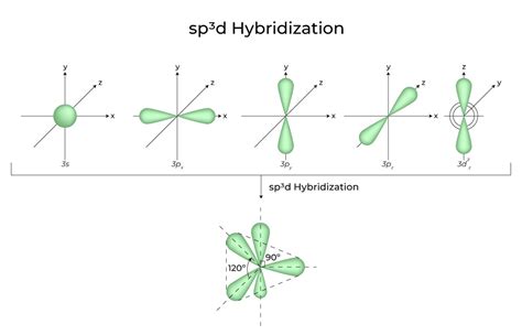 Image result for SP3D Orbital Hybridization