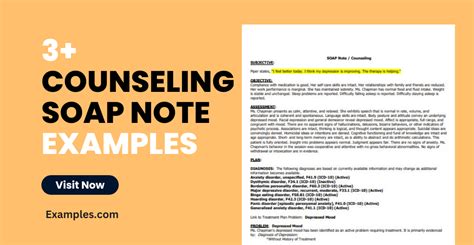 Image result for Soap Note Examples Counseling