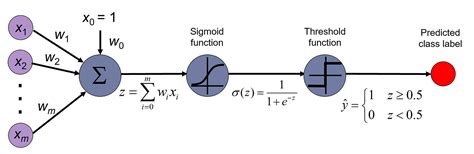 Data Science Regression Models に対する画像結果