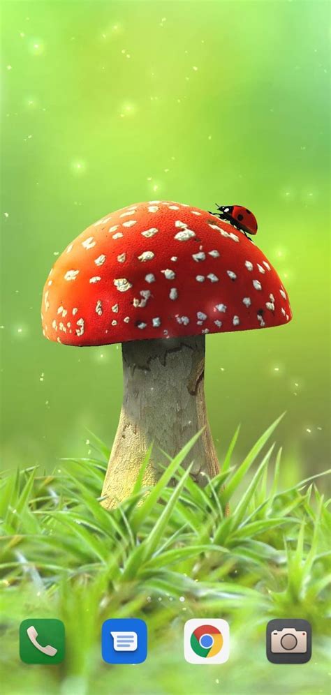 Mobile Animated に対する画像結果