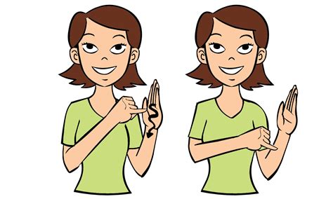 Toradh íomhá ar Beginner Sign Drawing