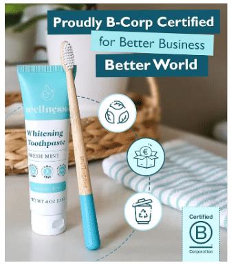 Wellnesse Whitening Hydroxyapatite Toothpaste with Xylitol, Natural ...