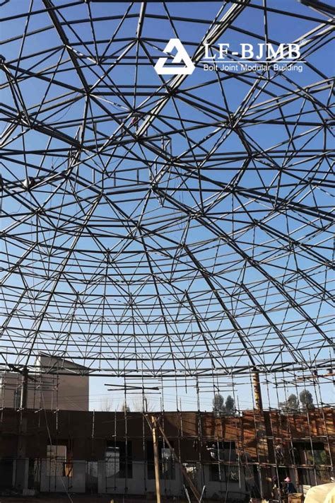 Circular Space Frame Structure に対する画像結果