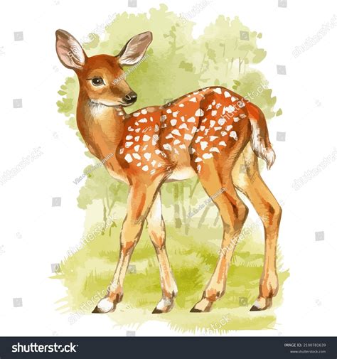 Image result for Fawn Drawing Creepy