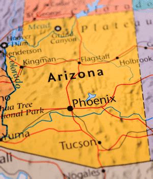 Image result for Arizona Desert Tarantula