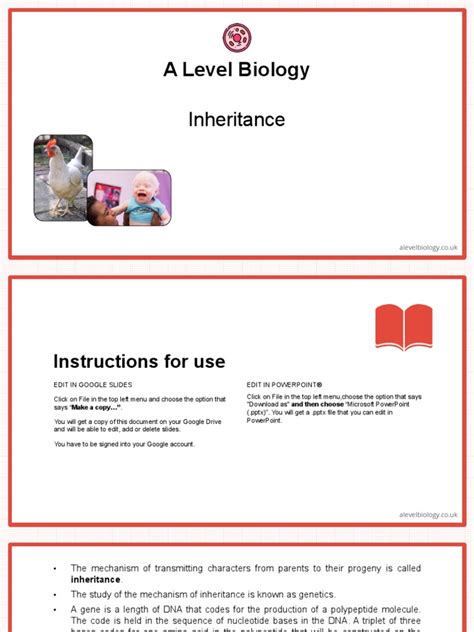 A Level Biology: Inheritance | PDF | Dominance (Genetics) | Allele