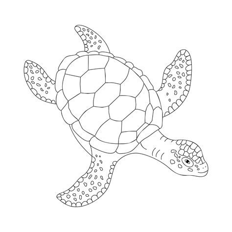 Toradh íomhá ar Turtle Top View Swimming Vector