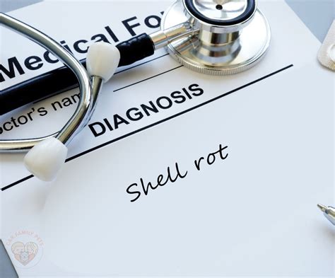 Toradh íomhá ar Turtle Shell Rot Death