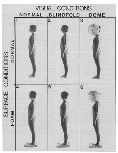 CTSIB Practice Questions에 대한 이미지 결과