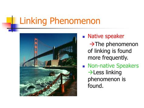 Image result for Examples of Rising Intonation Sentences