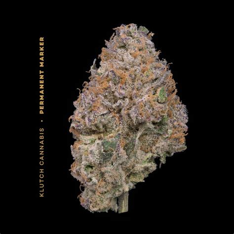 Permanentmarker Autoflower എന്നതിനുള്ള ഇമേജ് ഫലം