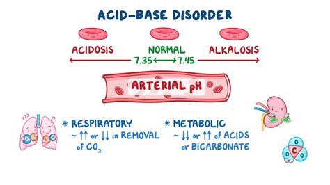 Image result for Acid-Base Disorders
