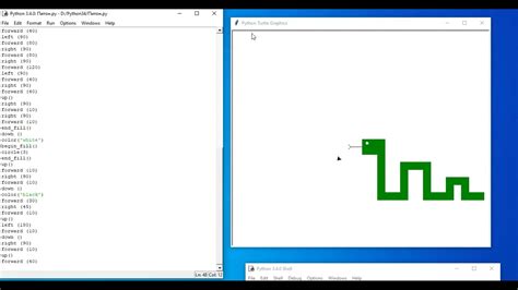 Image result for Python Turtle Bear Picture