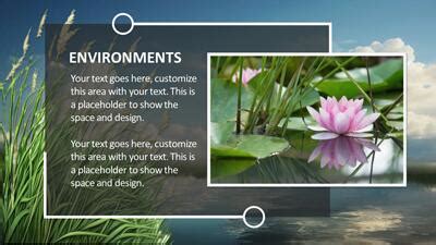 Image result for PowerPoint Backgrounds About Environment