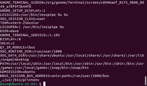 Image result for How to Call an Environment in Linux