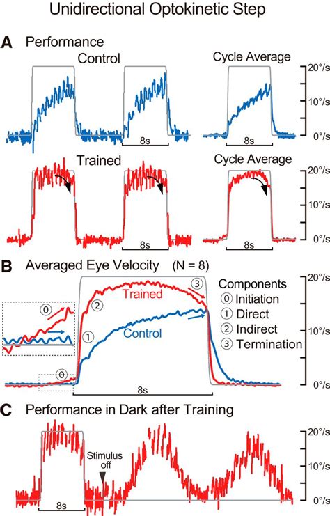 Image result for Rate Control Eye
