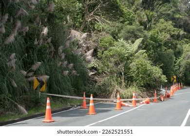 Cyclone Gabrielle Auckland ପାଇଁ ପ୍ରତିଛବି ଫଳାଫଳ