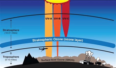 Ozone Generator Damage ପାଇଁ ପ୍ରତିଛବି ଫଳାଫଳ
