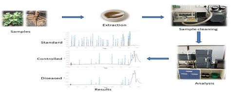 Photodiode Array Detector 3D Data に対する画像結果
