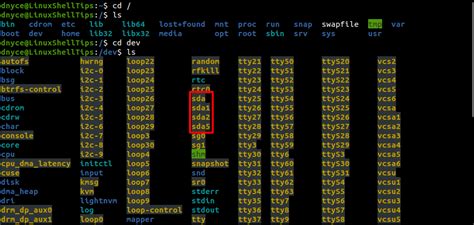 Image result for Dev Directory in Linux