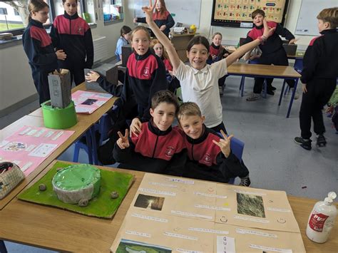 Image result for 5 Class Study