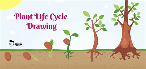 Toradh íomhá ar Single Line Drawing of Science Life Cycle