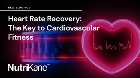 Image result for Heart Rate Recovery