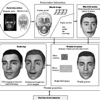 Image result for Dimple Wrinkle Simulation