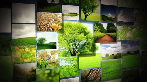 Green Background HTML に対する画像結果