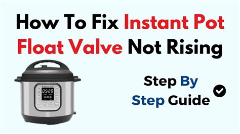 Image result for Instant Pot Float Valve Installation