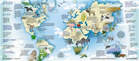 Image result for Pond with World Map