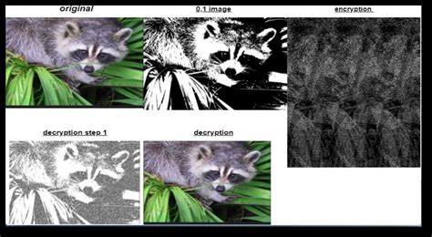 Image result for Image Encryption and Decryption