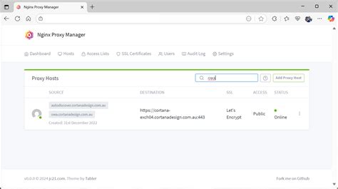 Afbeeldingsresultaten voor Nginx Proxy Manager Advanced Timeouts