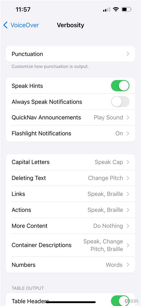 Image result for Voice Over iPhone