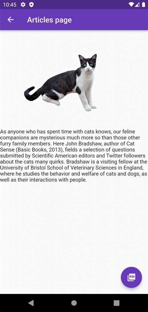 Image result for Insert Image PDF File Flutter