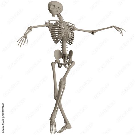 Python Skeleton 3D に対する画像結果