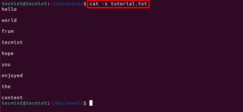 Image result for Cat Paste Linux