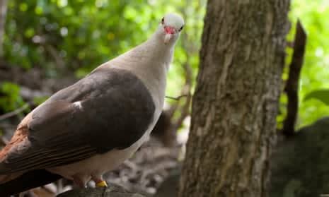 Python Fill Augmentaion Options に対する画像結果