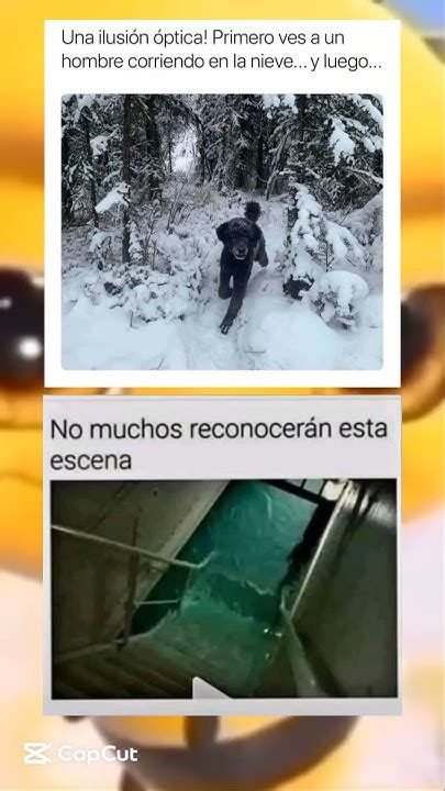 Memes Random XD に対する画像結果