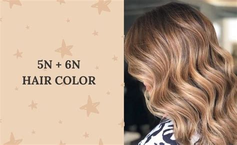Image result for 6N Hair Color