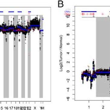 Image result for Copy Number Variation Cnv Plot Depth