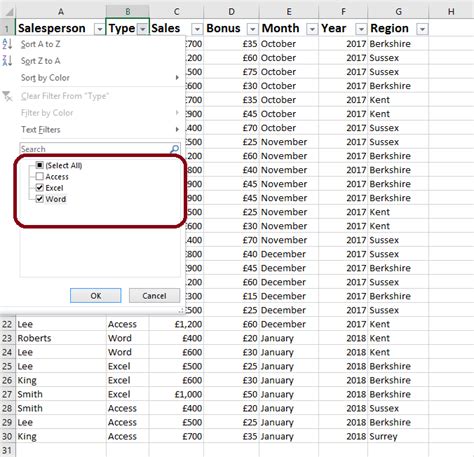 Image result for Filtering Data in Excel