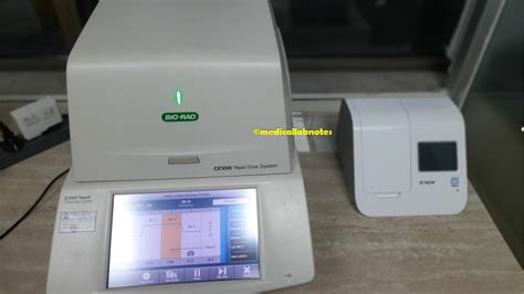 Lamp PCR に対する画像結果