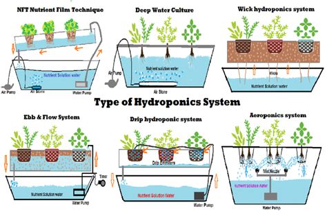 What Are The Different Types Of Hydroponics Systems at Johnnie Hart blog