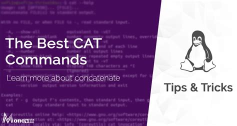 Image result for Linux Cat Command Examples