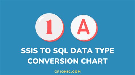 Image result for Data Conversion From Excel to Integer in SQL in SSIS Package