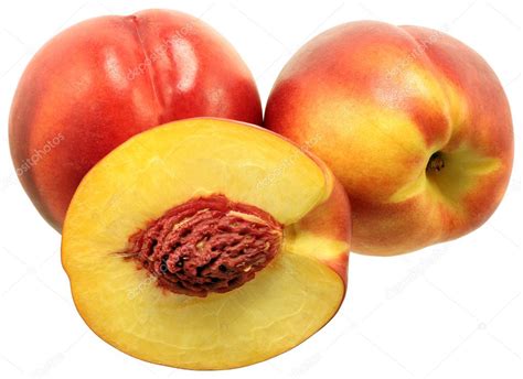 Image result for Nectaries Photo