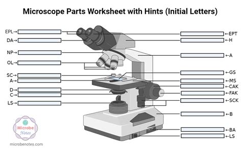 Image result for Microscope Drawing with Parts